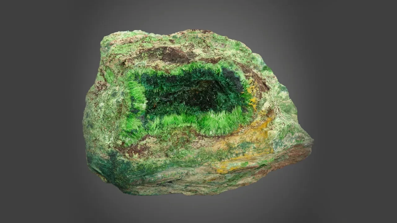 Dünyanın en tehlikeli taşı için açık artırma düzenlendi! Yeni sahibinin dikkat etmesi gereken ciddi kurallar var