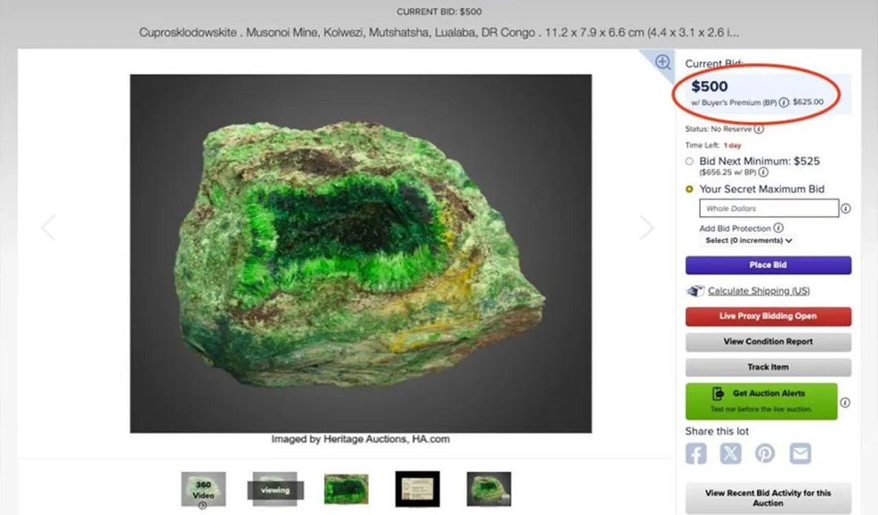 Dünyanın en tehlikeli taşı için açık artırma düzenlendi! Yeni sahibinin dikkat etmesi gereken ciddi kurallar var