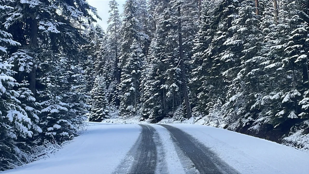 Meteoroloji illeri tek tek duyurdu! 45 il için kuvvetli kar yağışı uyarısı: Sıcaklıklar eski 22 dereceye kadar düşecek 