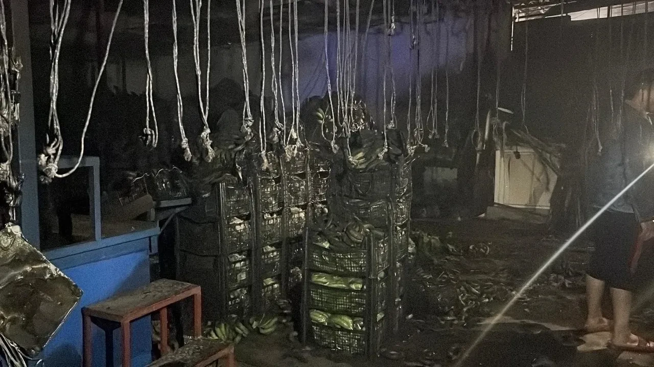 Muzların sarartıldığı tesisi alevler sardı: Tonlarcası bir anda zarar gördü