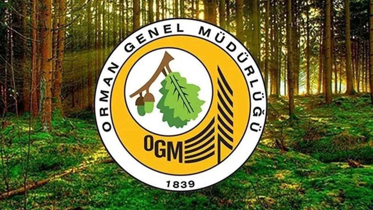 Orman Genel Müdürlüğü işçi alımı yapacak! Resmi Gazete'de yayımlandı