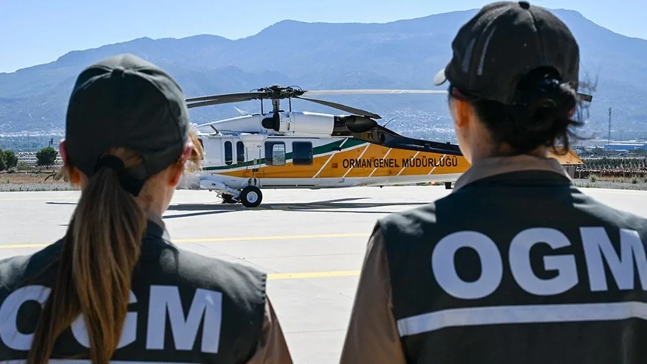 Orman Genel Müdürlüğü işçi alımı yapacak! Resmi Gazete'de yayımlandı