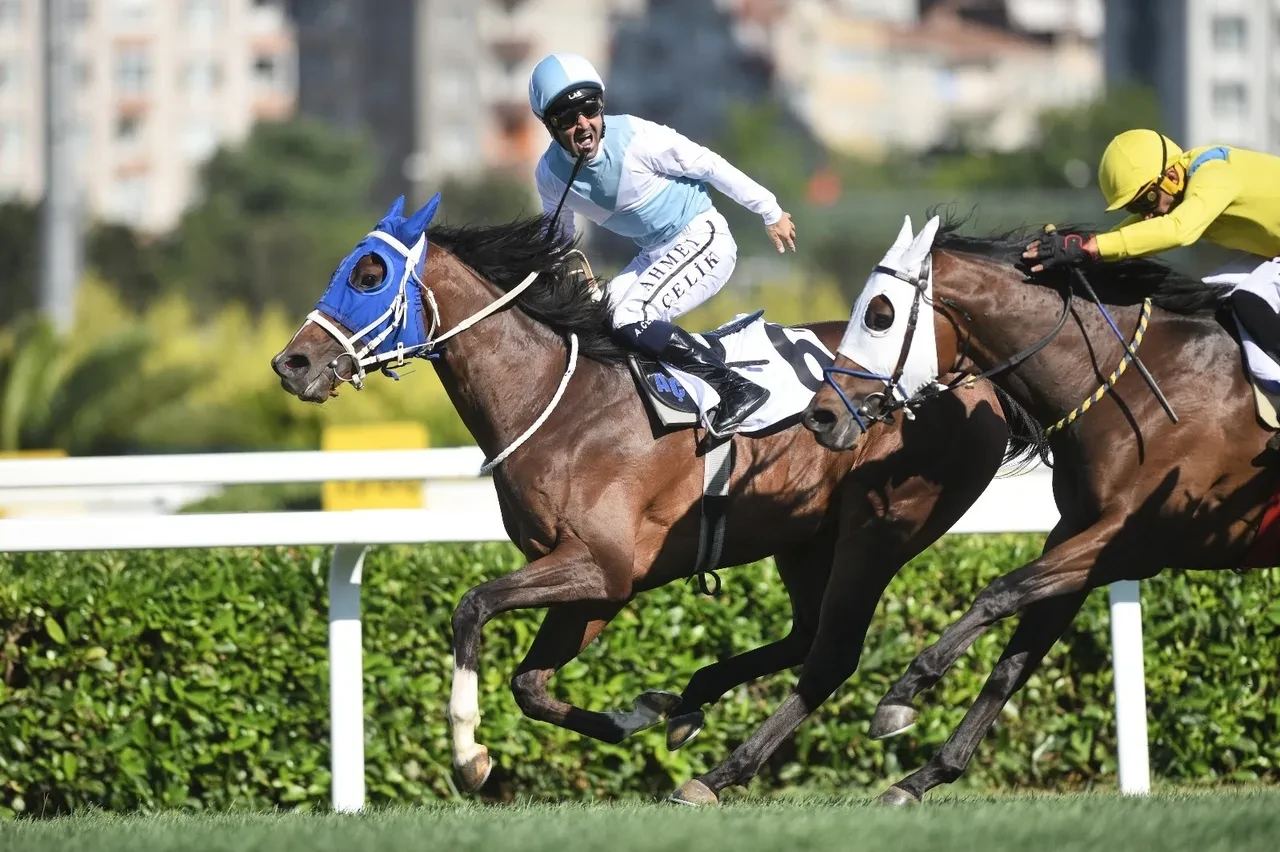 Spor dünyasında 2025 yılı böyle geçti! Şampiyonluklar, madalyalar, mağlubiyetler tarihte yerini aldı