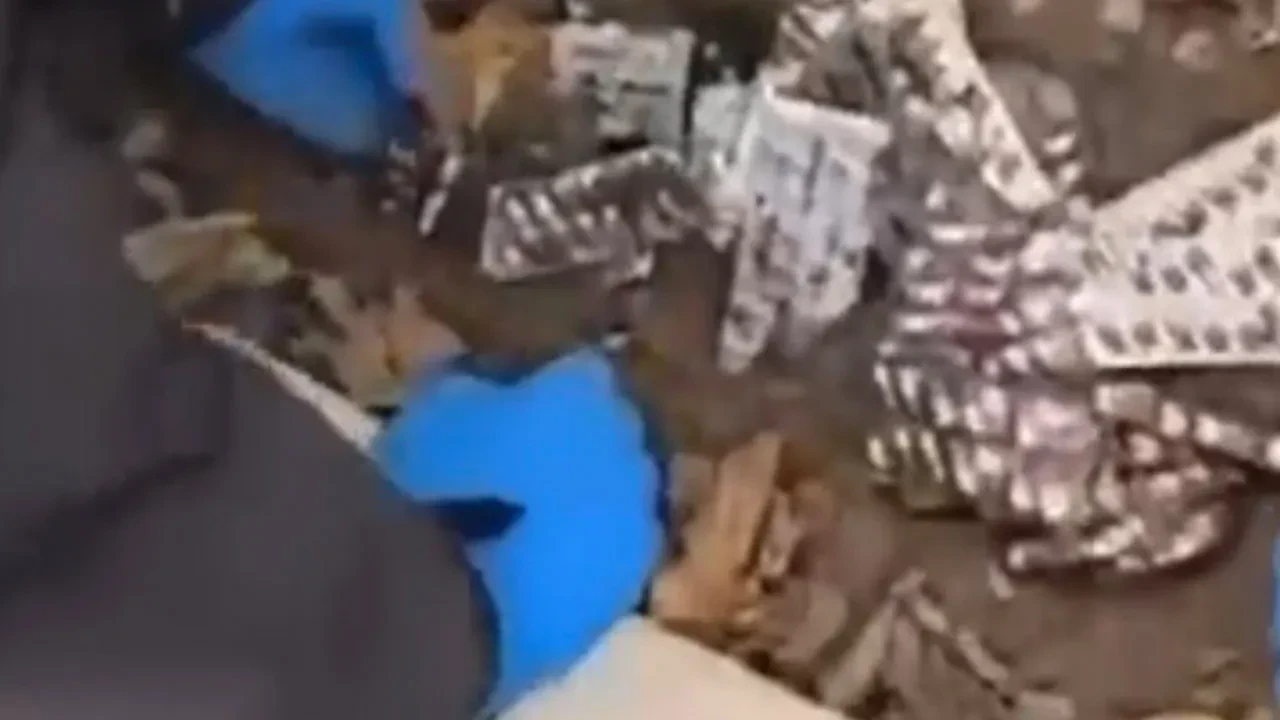 Tam 9132 adet, bahçede gömülü bulundu! Topraktan çıkanlar şoke etti