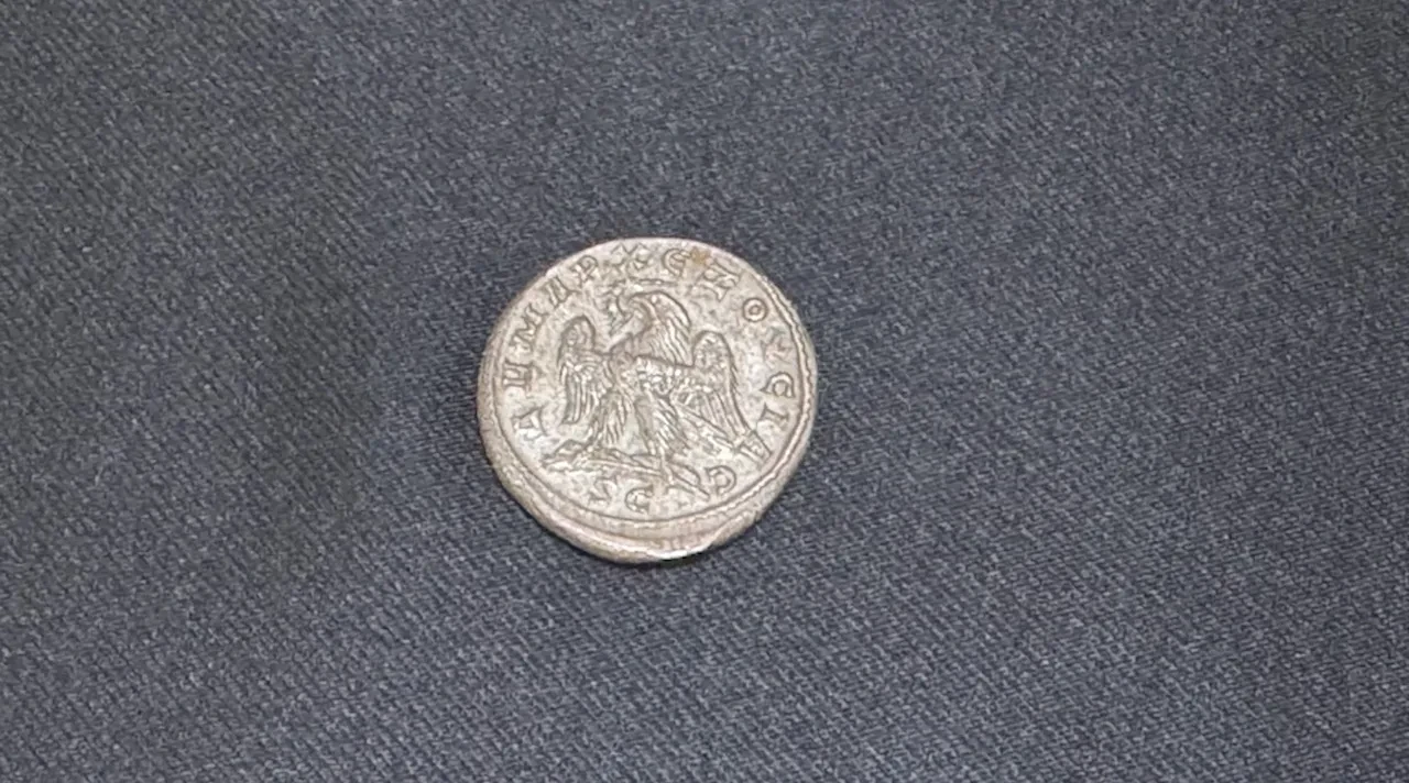 Aralarında Yunan tanrısı ve Büyük İskender figürleri var! Edirne'de dev tarihi eser operasyonu