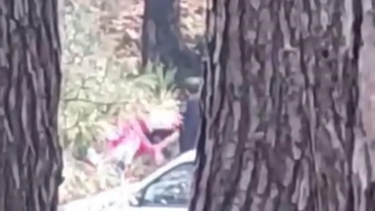 Genç kadının imdat çığlıkları kan dondurdu! Ormanlık alanda sevgilisini darp etti!