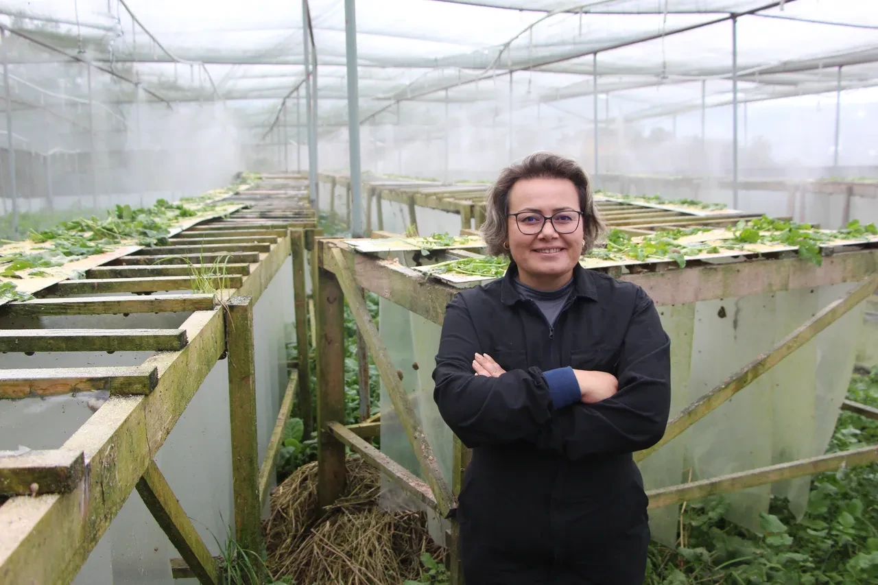 Pandemide başladı, şimdi Avrupa'ya ihraç ediyor! Yumurtasının kilosu 3 bin euro 