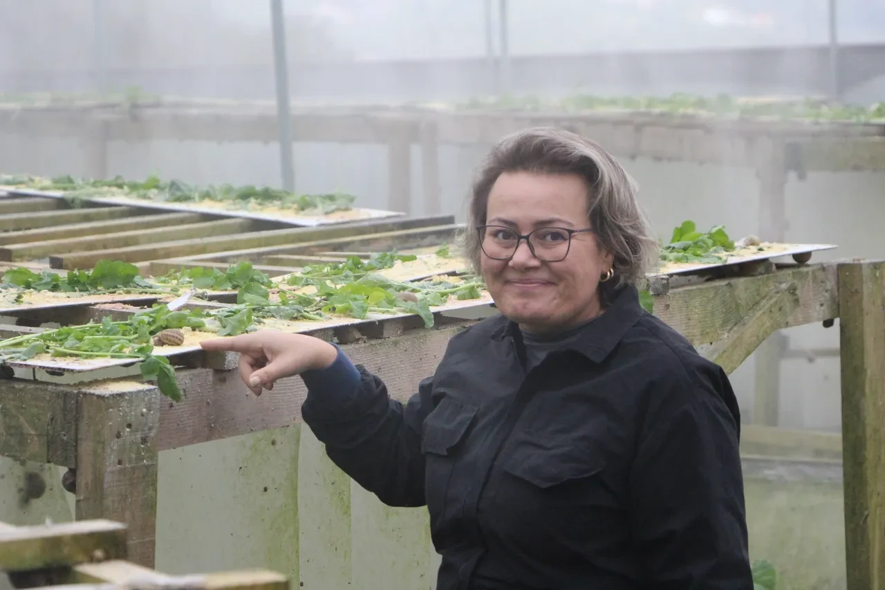 Pandemide başladı, şimdi Avrupa'ya ihraç ediyor! Yumurtasının kilosu 3 bin euro 