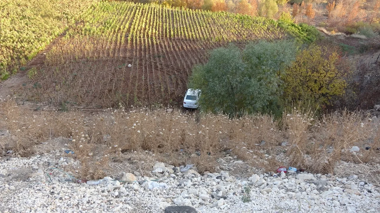 Yok böyle kaza! Otomobili görenler gözlerine inanamadı