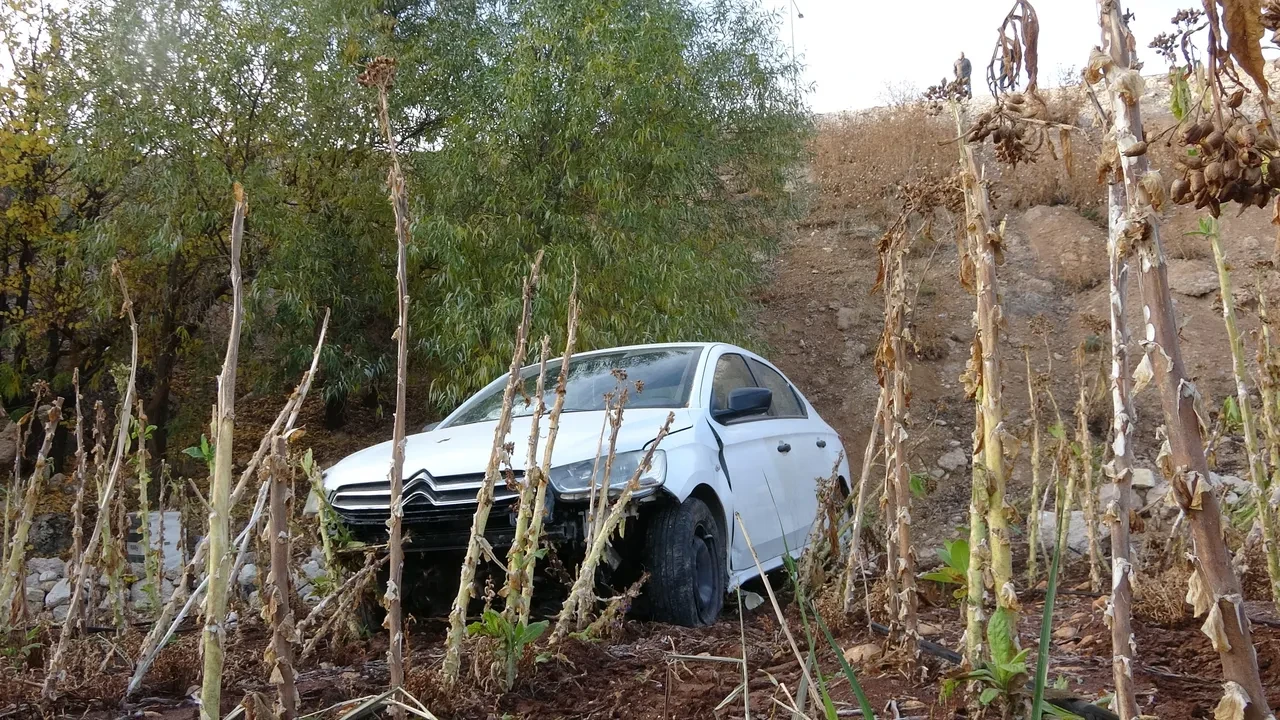 Yok böyle kaza! Otomobili görenler gözlerine inanamadı