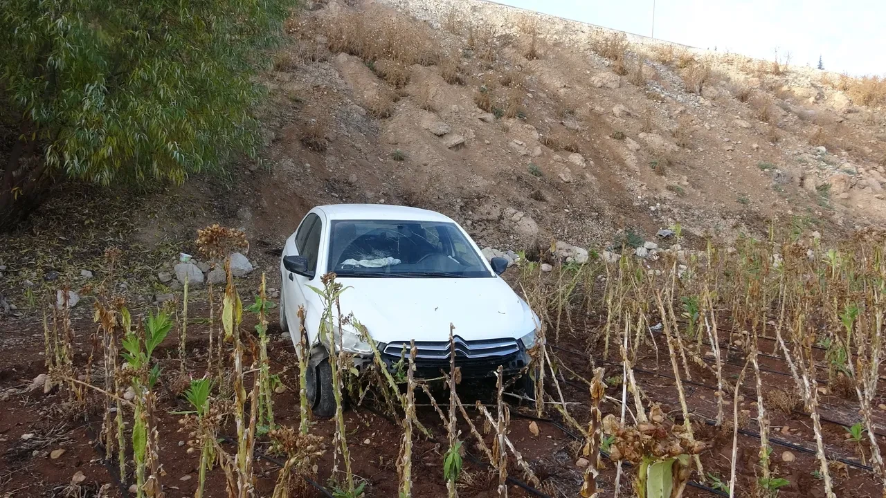 Yok böyle kaza! Otomobili görenler gözlerine inanamadı