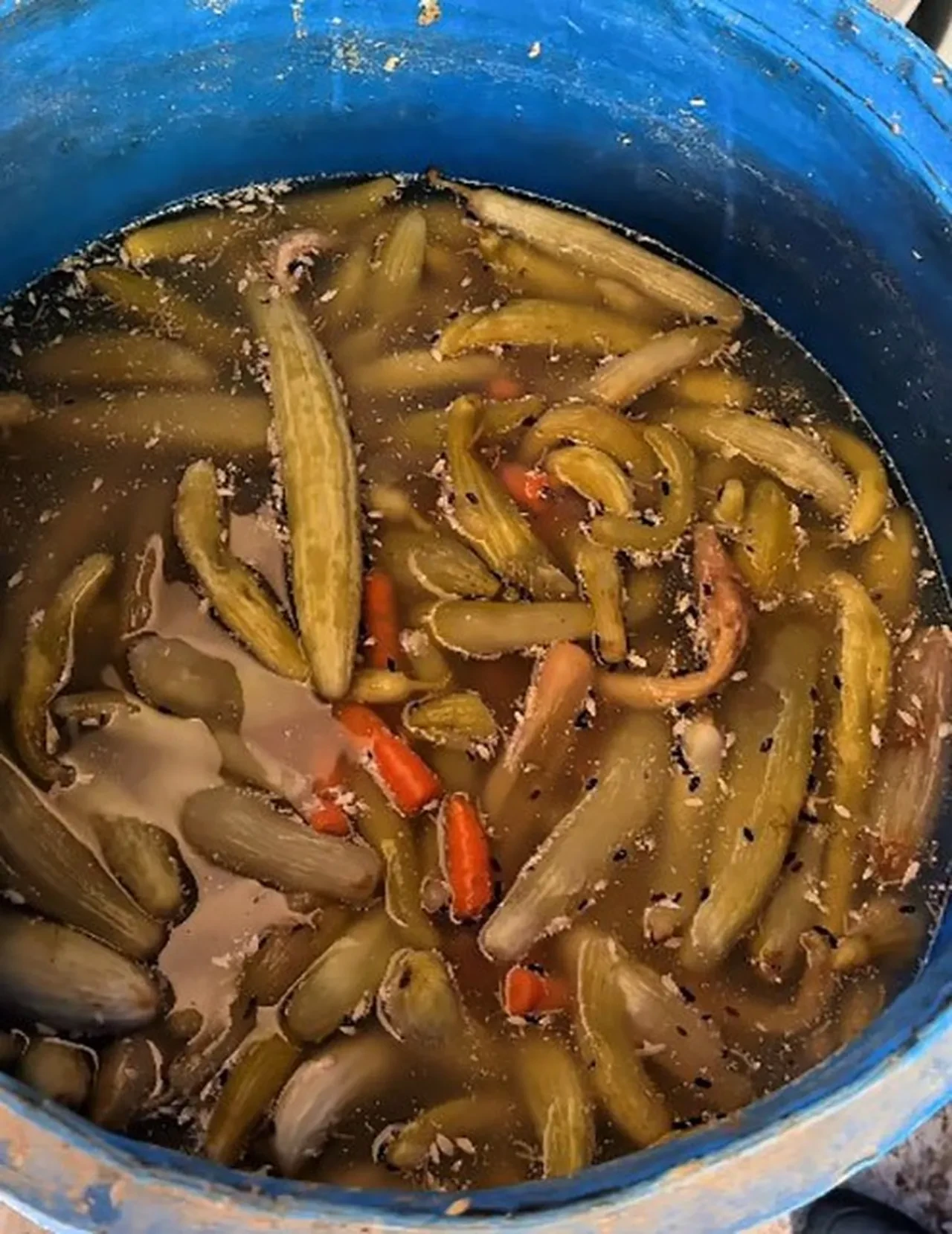 Dönerciden mide bulandıran görüntüler! Mühürlendi ve faaliyetine son verildi