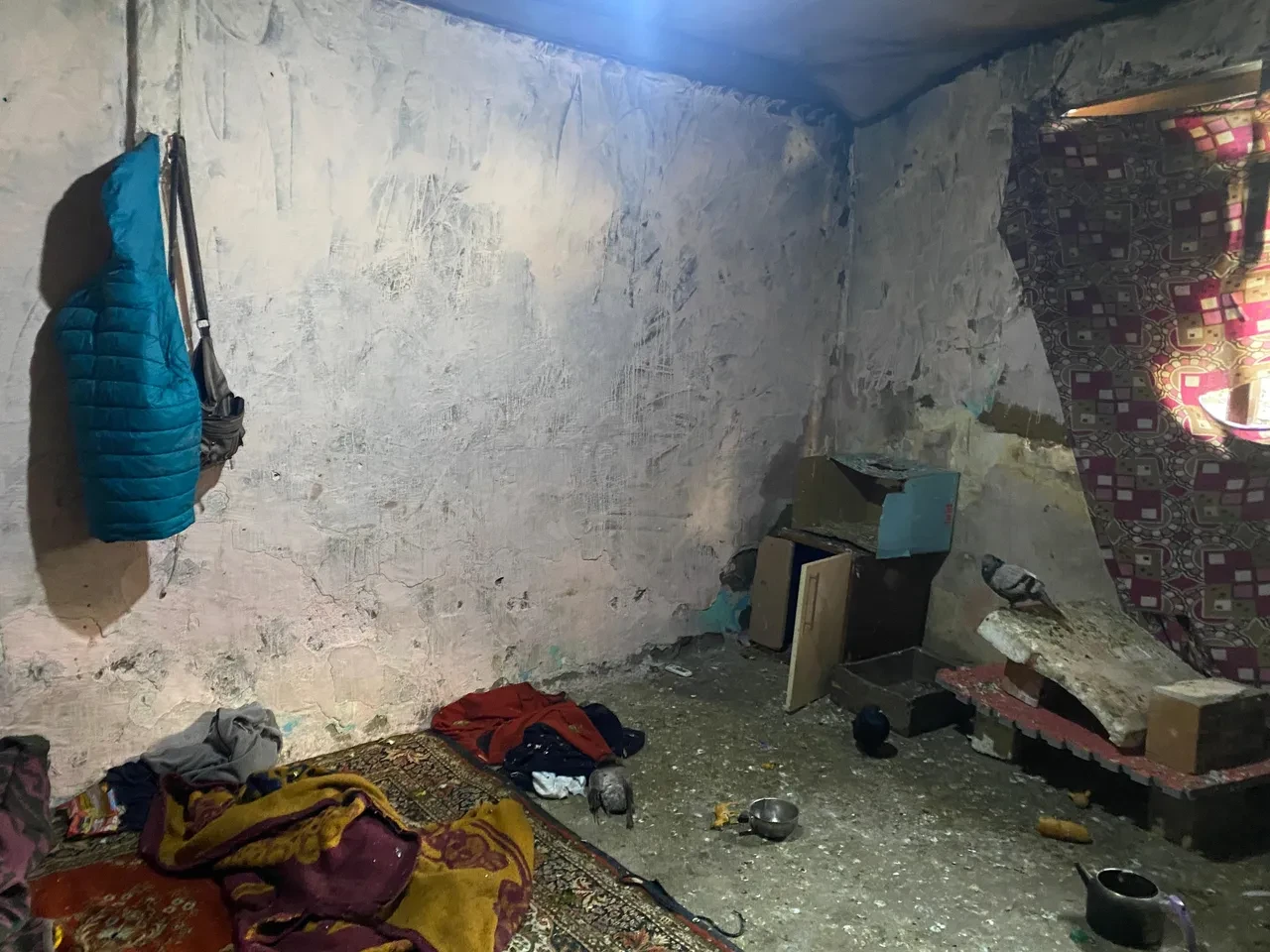 Engelli Adnan ve 2 kardeşi yıllarca kümeste yaşamaya mahkum edildi! Anlatılanlar yürek yaktı: 'Biz gidince...'