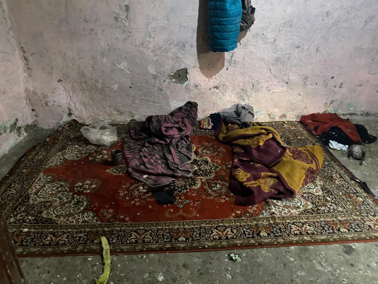 Engelli Adnan ve 2 kardeşi yıllarca kümeste yaşamaya mahkum edildi! Anlatılanlar yürek yaktı: 'Biz gidince...'