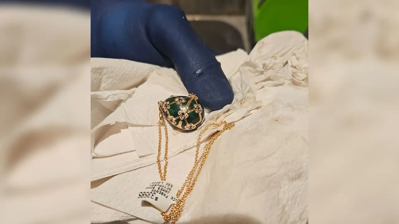 Kaşla göz arası 33 bin dolarlık yumurtayı yuttu! Polisler sabırla tuvalet nöbeti tuttu