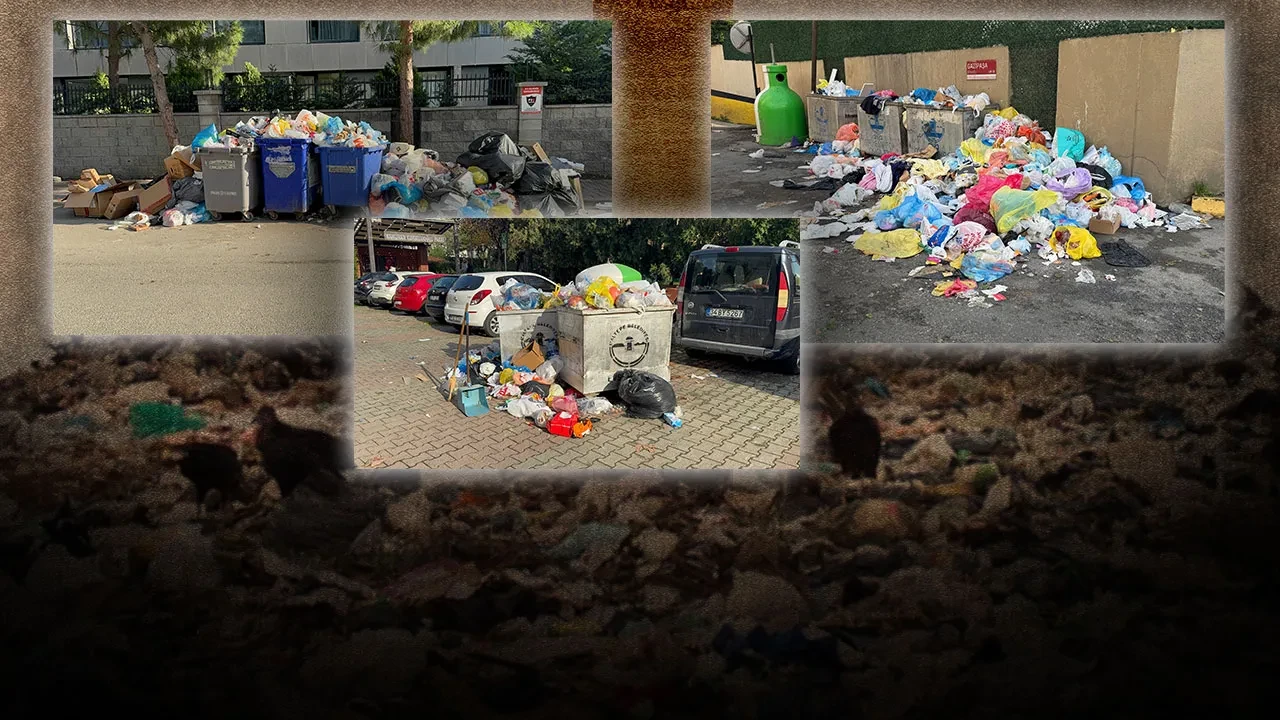 Maltepe Belediyesi işçi alacaklarını ödeyemedi, ilçe çöplüğe döndü!