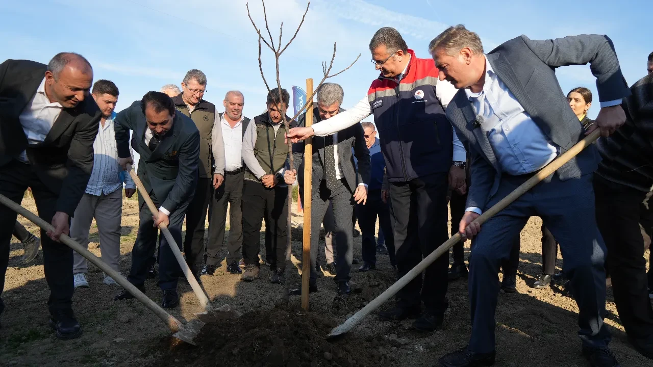 4 bin fidanın sırrını kimse bilmiyordu: İşte 50 milyon liralık sürpriz!