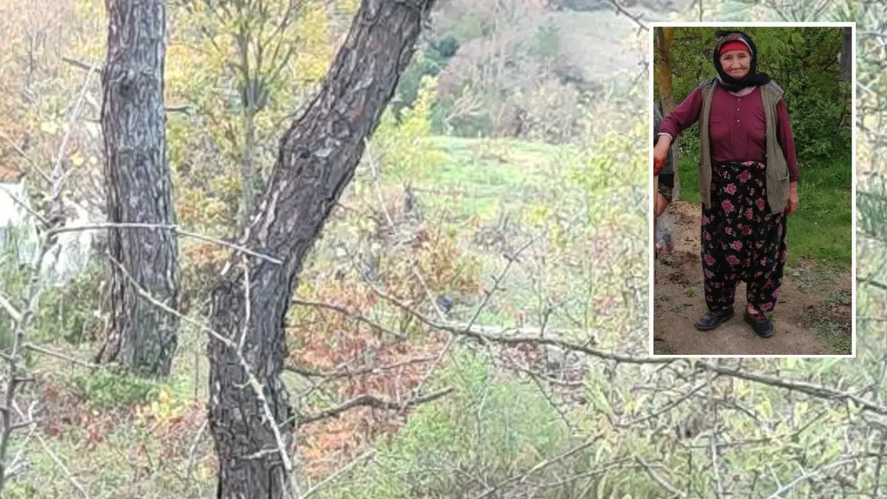 Çanakkale'de Alzheimer hastası kadın kayboldu! Arama sonucunda cansız bedeni bulundu