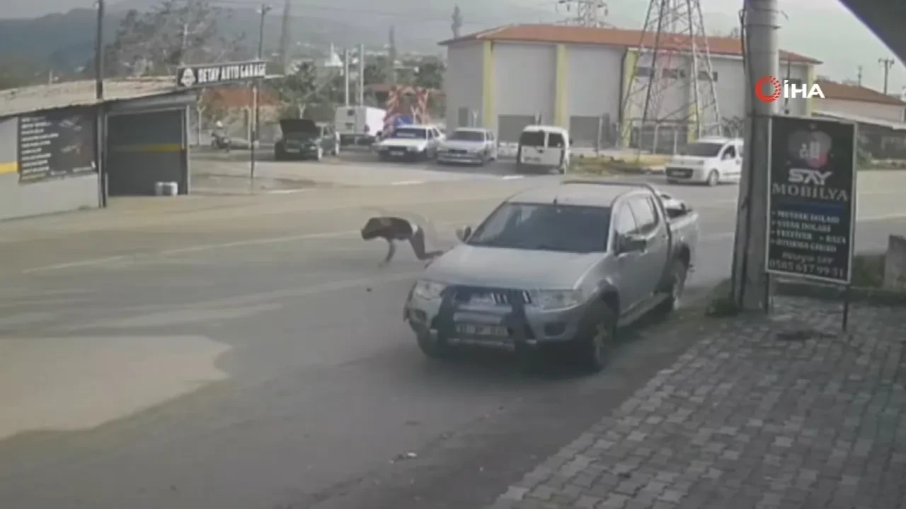 Ciple çarpışan motosikletin sürücüsü metrelerce savruldu