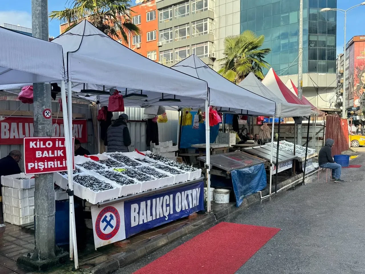 Hamsinin fiyatı üç katına fırladı: Avcılıkta kötü haber