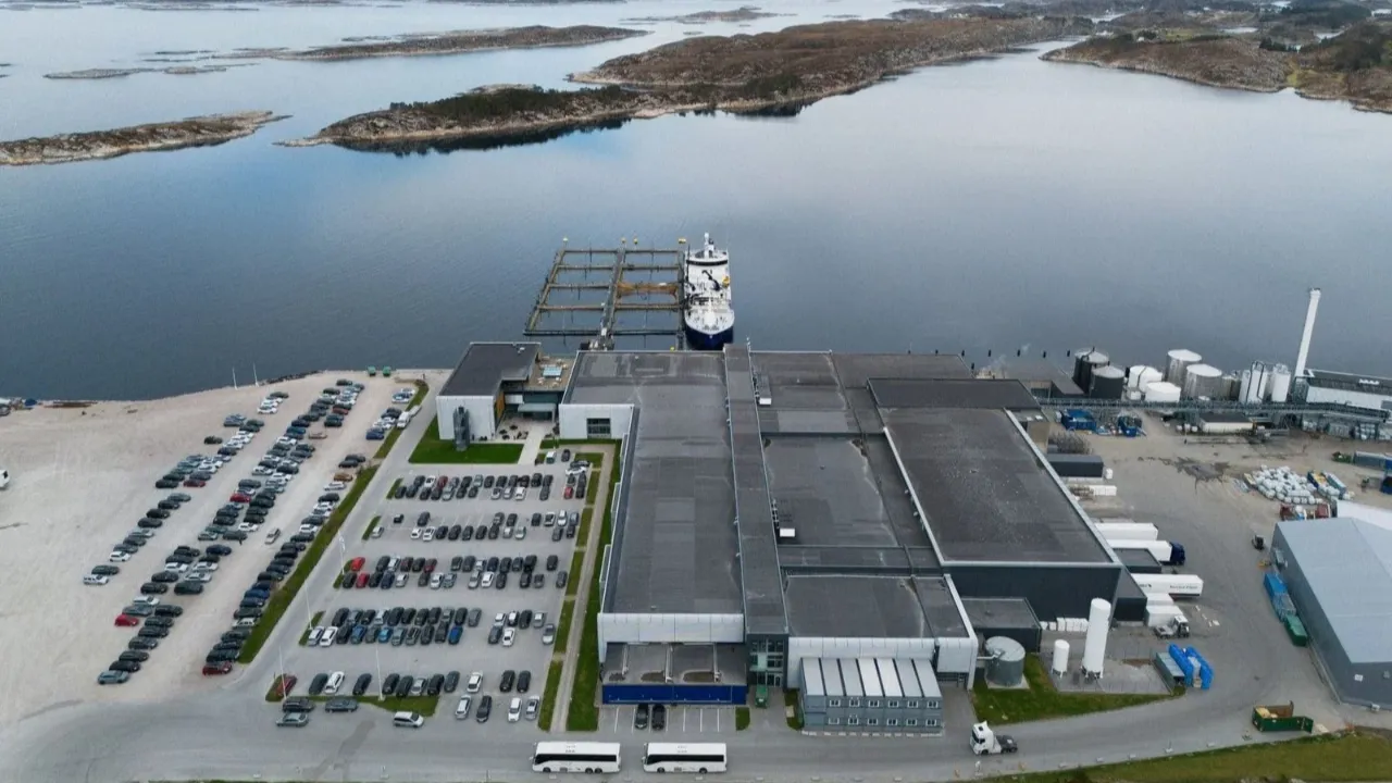 Aylık neredeyse 150 bin TL maaş! Tek şart var, deneyim aranmıyor