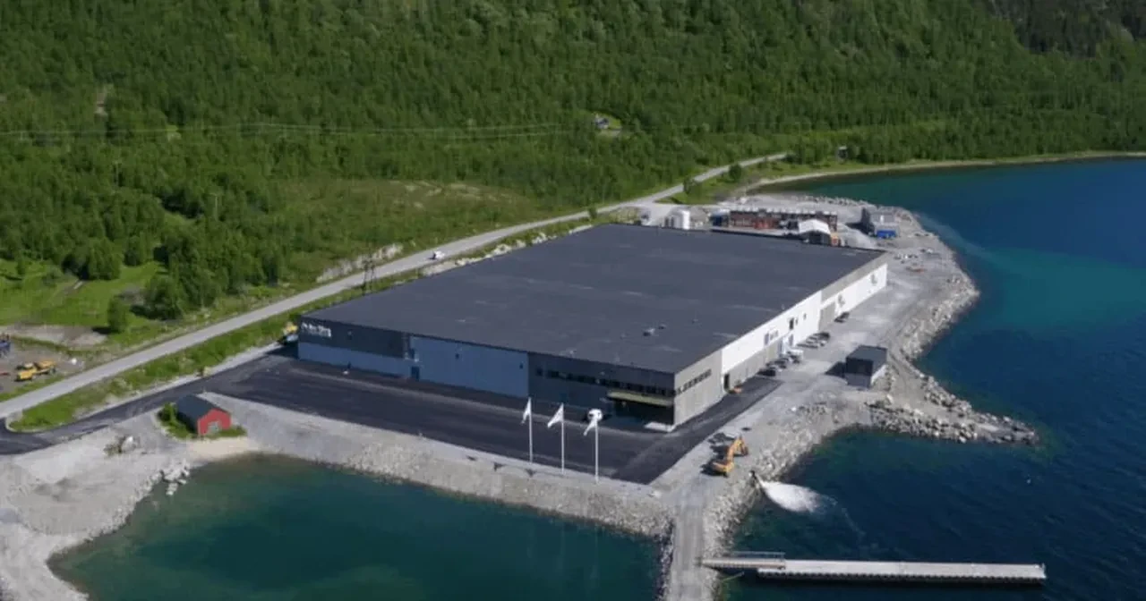 Aylık neredeyse 150 bin TL maaş! Tek şart var, deneyim aranmıyor