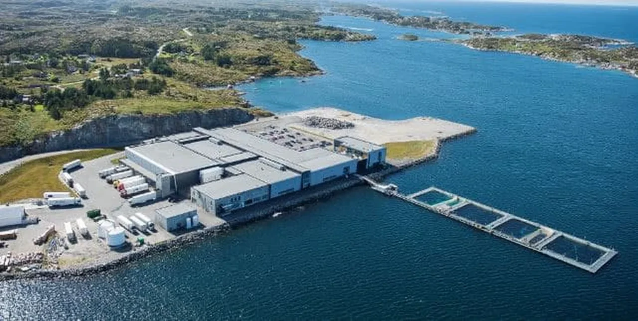 Aylık neredeyse 150 bin TL maaş! Tek şart var, deneyim aranmıyor