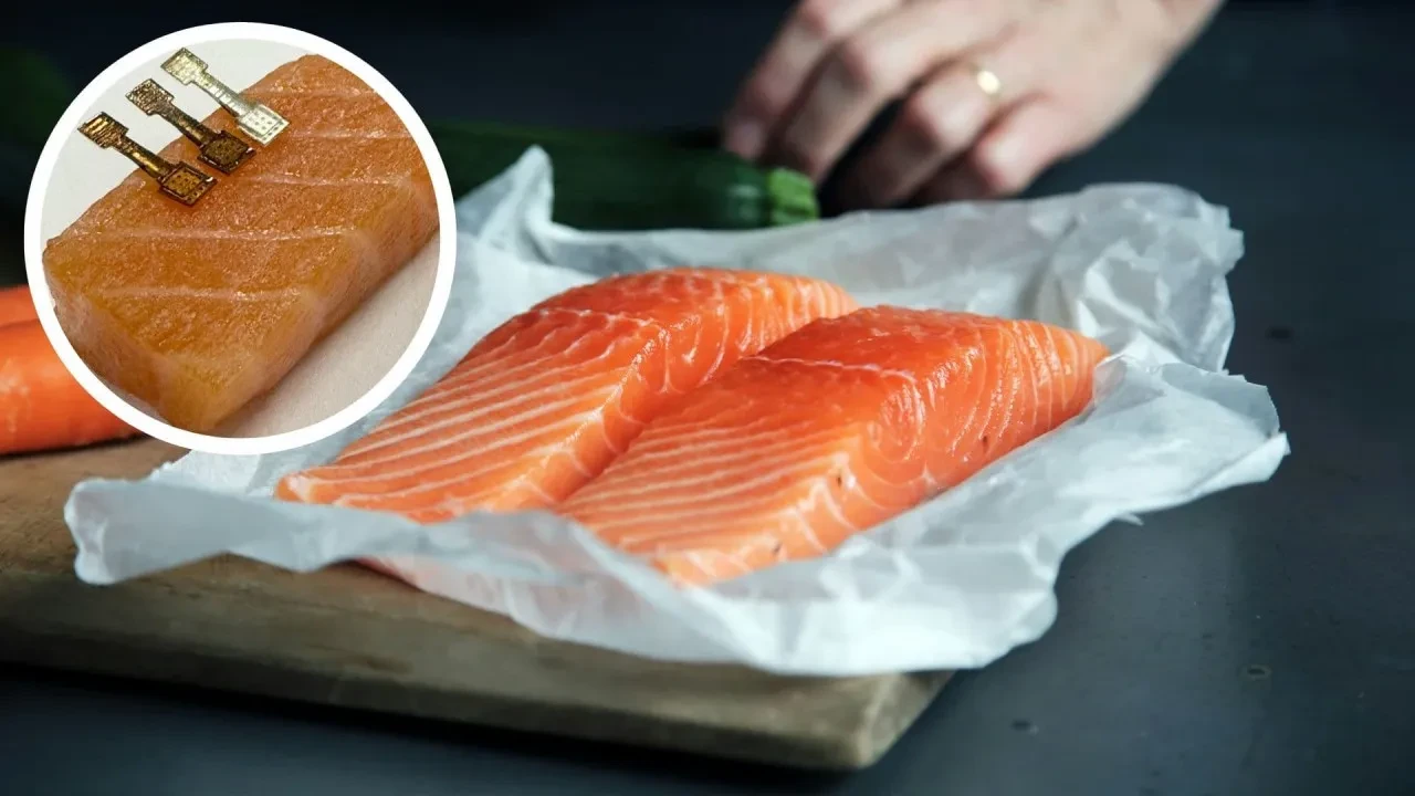 Balığın bayat olup olmadığını gösteren cihaz geliştirildi: 2 dakikada sonuç veriyor