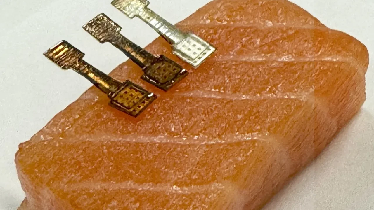 Balığın bayat olup olmadığını gösteren cihaz geliştirildi: 2 dakikada sonuç veriyor