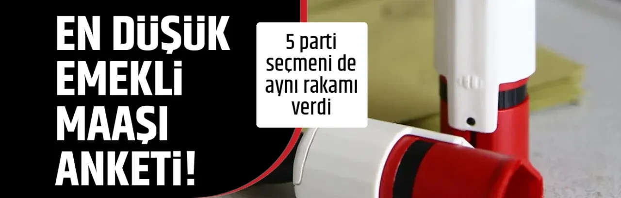 EN DÜŞÜK EMEKLİ MAAŞI ANKETİ!