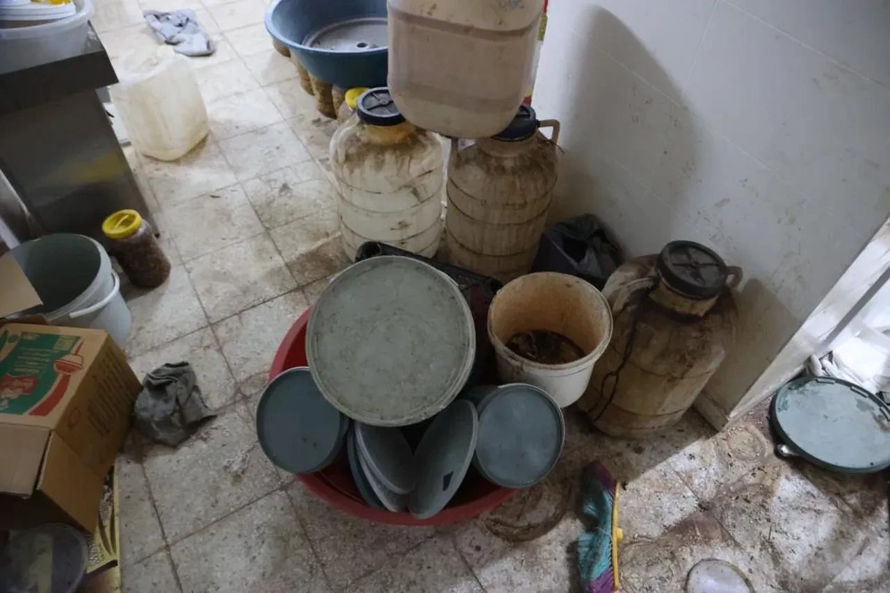 'Farelerin bile hayatta kalamadığı' Kilis'teki o işletmeye ceza yağdı!