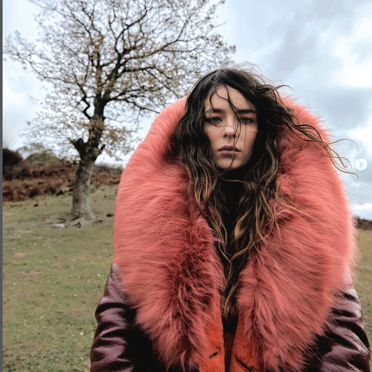 Buse Meral'in yeni projesi belli oldu 