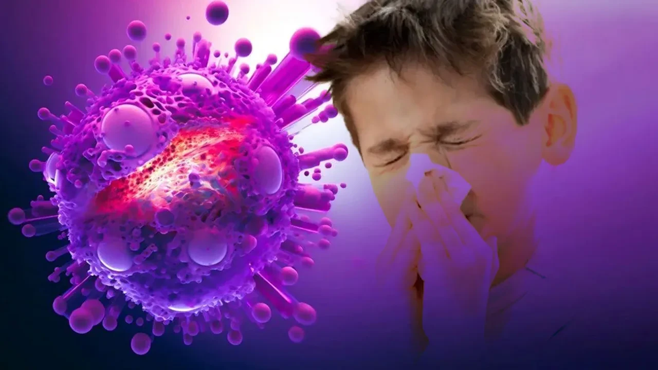 Hong Kong gribi Kırgızistan'da karantinayı geri getirdi: Okullar çevrimiçi eğitime döndü