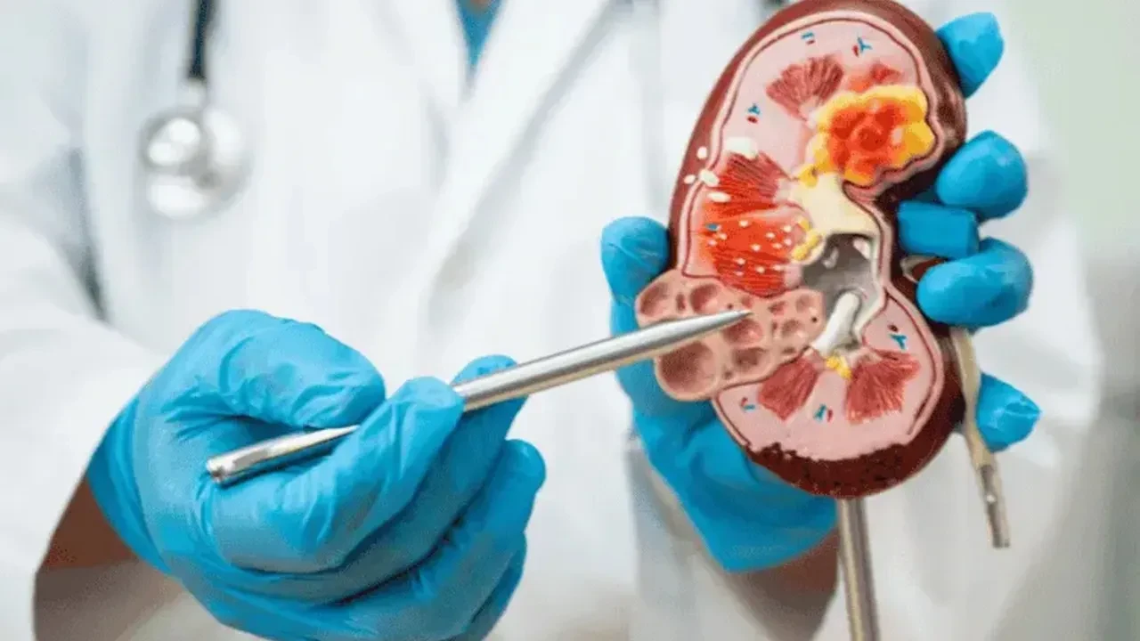 Organ nakliyle bulaşan ölüm: ABD'de bir erkek kuduz nedeniyle hayatını kaybetti