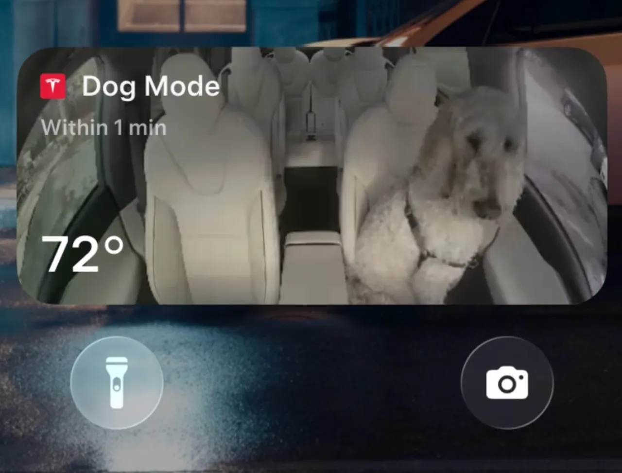 Tesla tatil güncellemesi ile birçok yenilik geliyor: Köpek modu, Grok desteği ve daha fazlası!