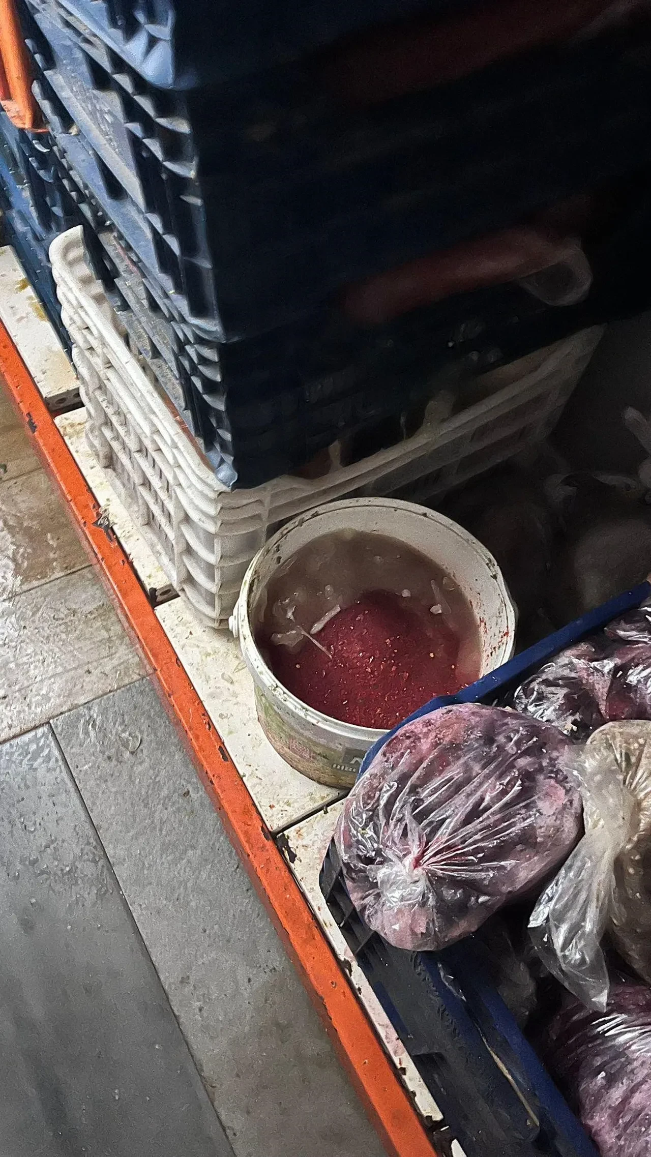 Antalya'da mide bulandıran görüntüler: 574 kilo SKT'si geçmiş ve bozulmuş gıda ele geçirildi!