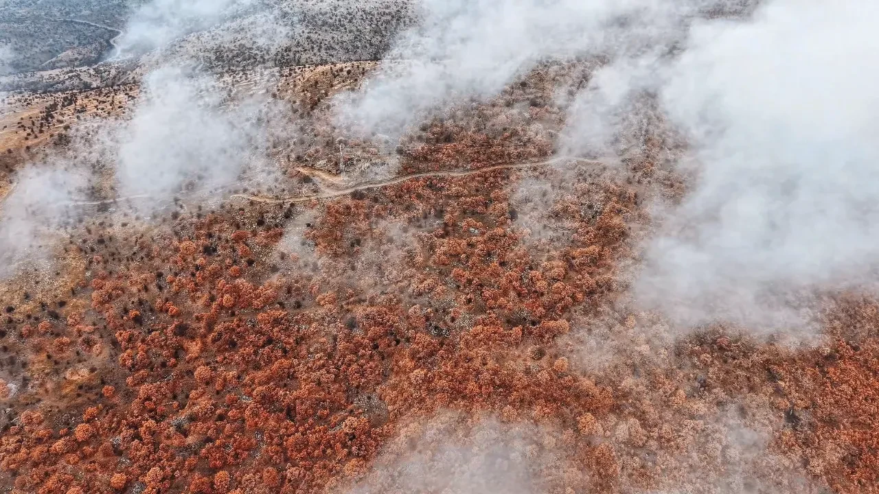 Çankırı'da mest eden görüntüler! Ormanlar sis bulutlarıyla kaplandı