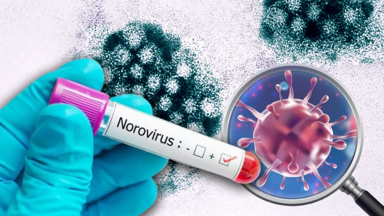 Dünya turuna çıkan gemide 'Kaburga kıran virüs' hızla yayılıyor: Yüzlerce kişi acı içinde kıvranıyor