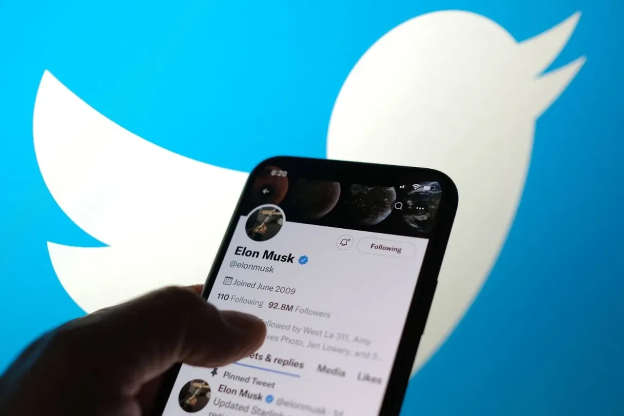 Elon Musk'ın terk ettiği "Twitter" markasına eski çalışanı talip oldu
