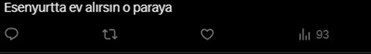 İstanbul'da ev fiyatına kiralık villa! Rakamı gören şaştı kaldı: "O paraya Esenyurt'ta ev alırsın"