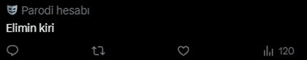 İstanbul'da ev fiyatına kiralık villa! Rakamı gören şaştı kaldı: "O paraya Esenyurt'ta ev alırsın"