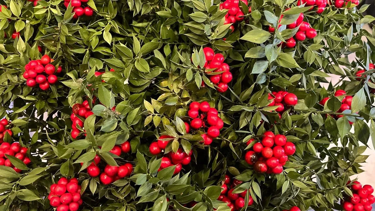 Son 10 yılda piyasaya damga vurdu, Aralık ayında yok satıyor