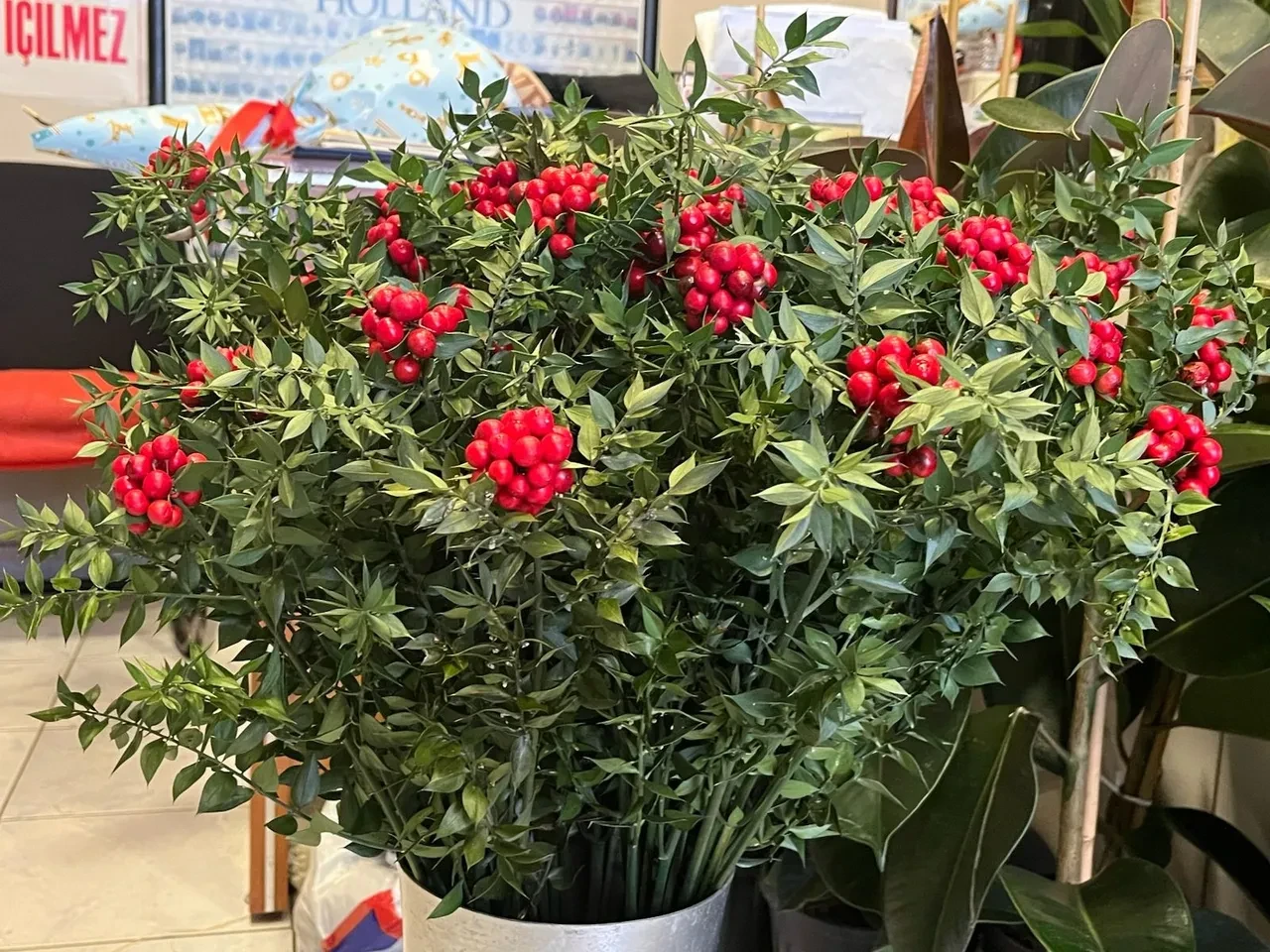 Son 10 yılda piyasaya damga vurdu, Aralık ayında yok satıyor