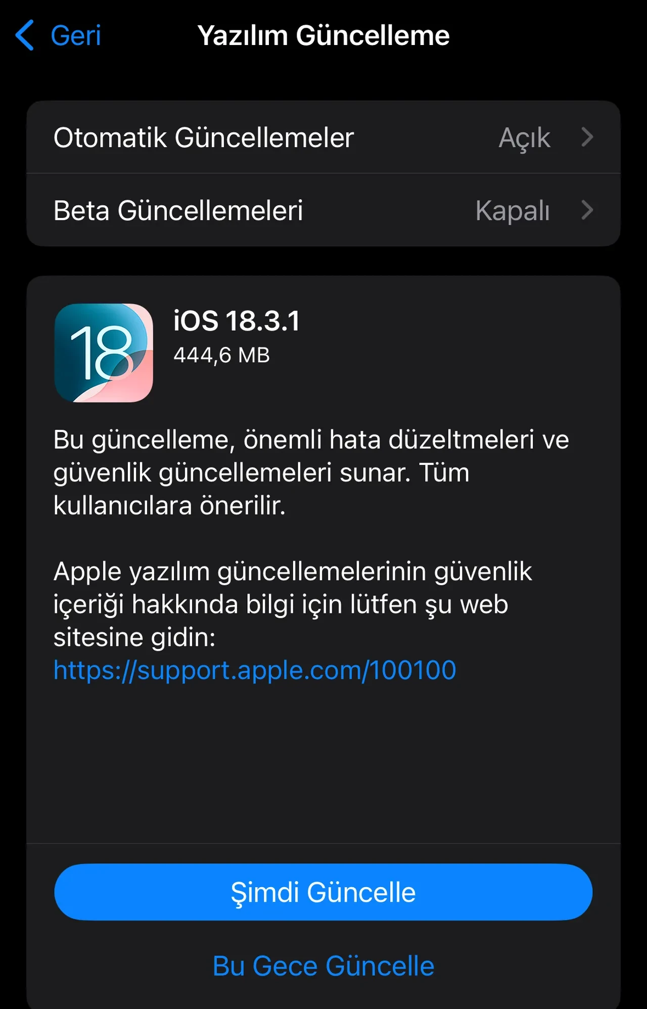 iOS 18.3.1 güncellemesi