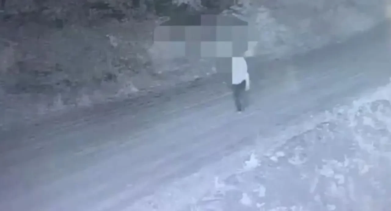 Organize suç örgütü, fotokapana böyle yakalandı! 5 yıldır terör estirmişler: 11 aylık takibin ardından çökertildiler