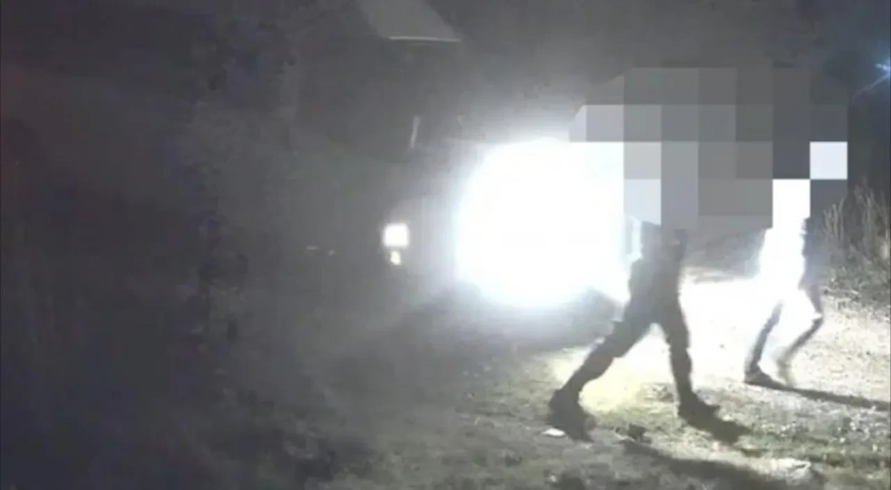 Organize suç örgütü, fotokapana böyle yakalandı! 5 yıldır terör estirmişler: 11 aylık takibin ardından çökertildiler