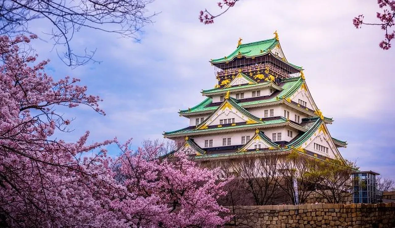 Japon devi açıkladı! Türk yolculara ücretsiz olacak: THY ile iş birliği yapılacak