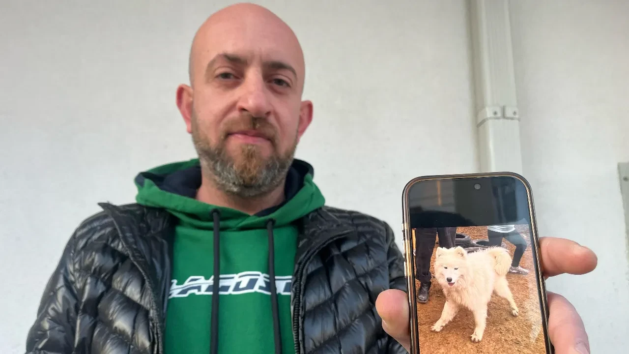 Köpeğini bulana 50 bin TL vereceğini duyurmuştu! Dolandırıcıların hedefi oldu