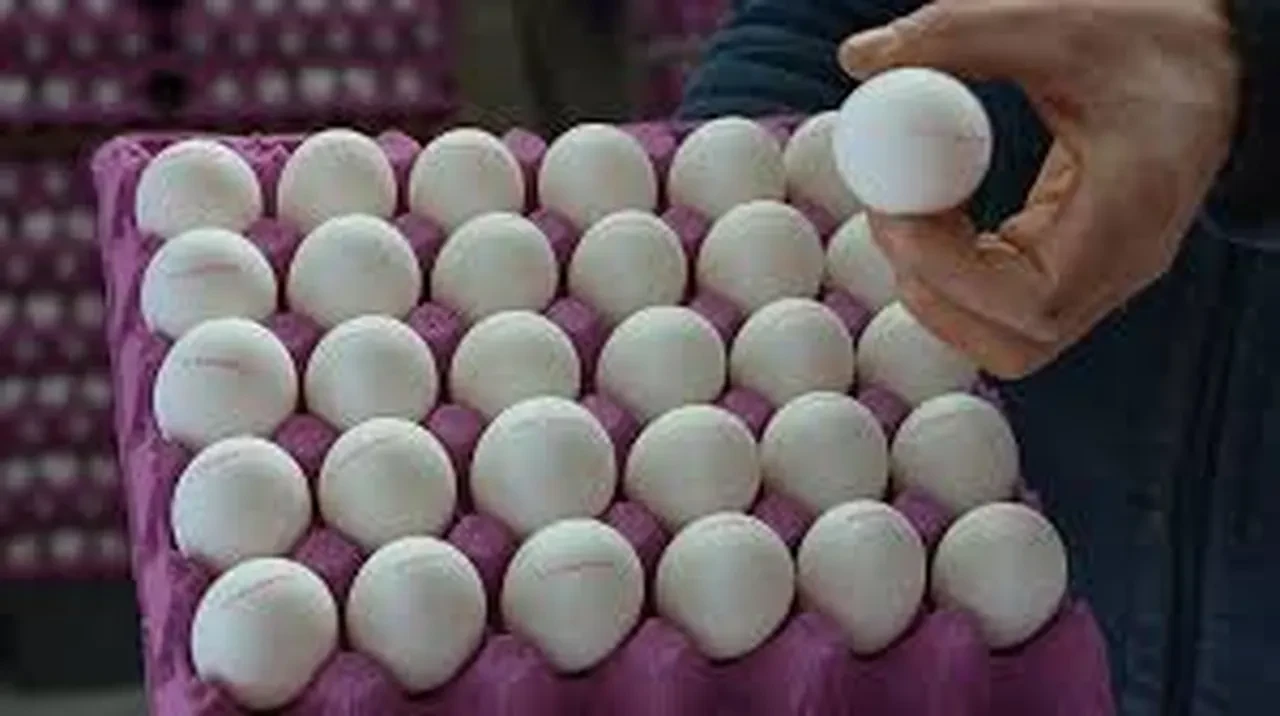 Türk yumurtasina ABD yolu açıldı: 15 bin tonluk dev anlaşma: Fiyatlara zam gelecek mi?