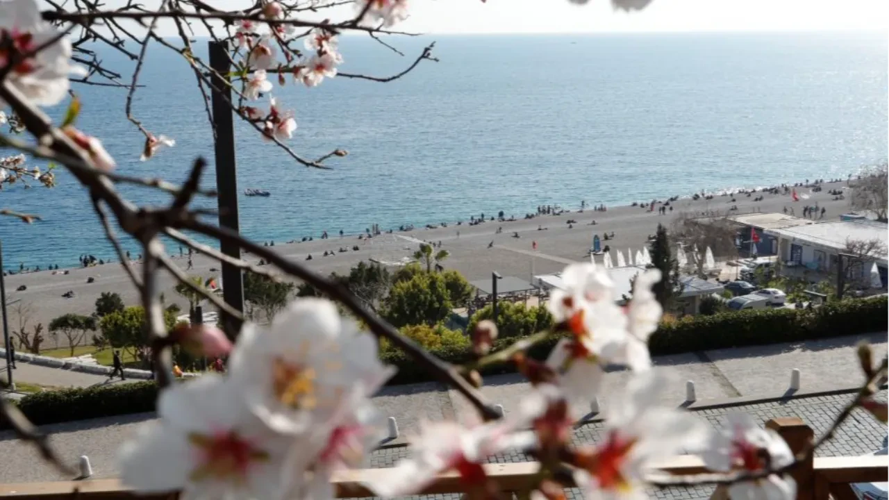 Antalya’da ağaçlar çiçek açtı, vatandaşlar sahile akın etti!